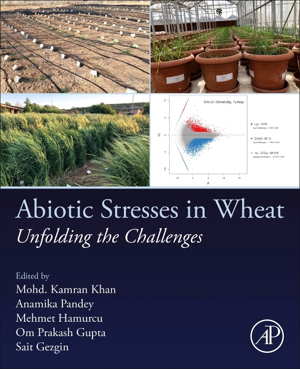 Couverture_Abiotic Stresses in Wheat