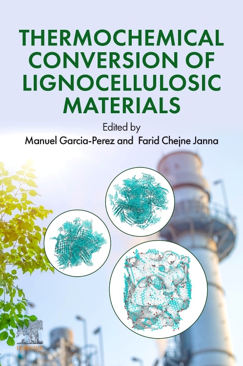 Couverture_Thermochemical Conversion of Lignocellulosic Materials