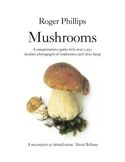 Couverture_Mushrooms