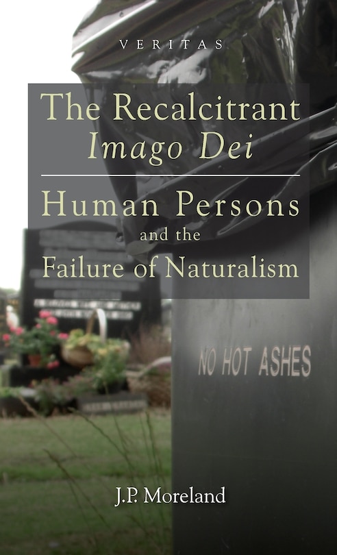 Couverture_The Recalcitrant Imago Dei