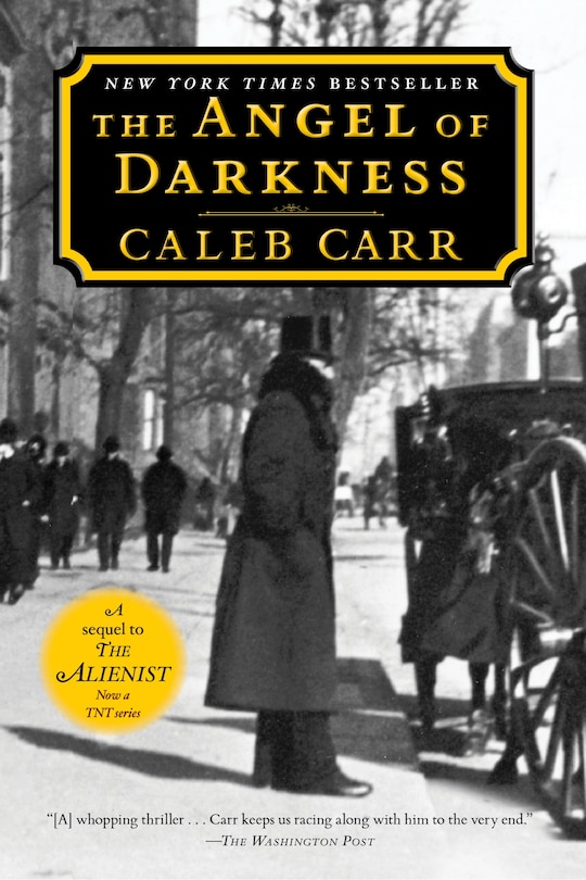 Front cover_The Angel Of Darkness: Book 2 Of The Alienist
