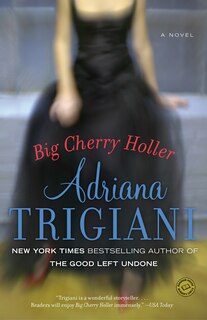Front cover_Big Cherry Holler
