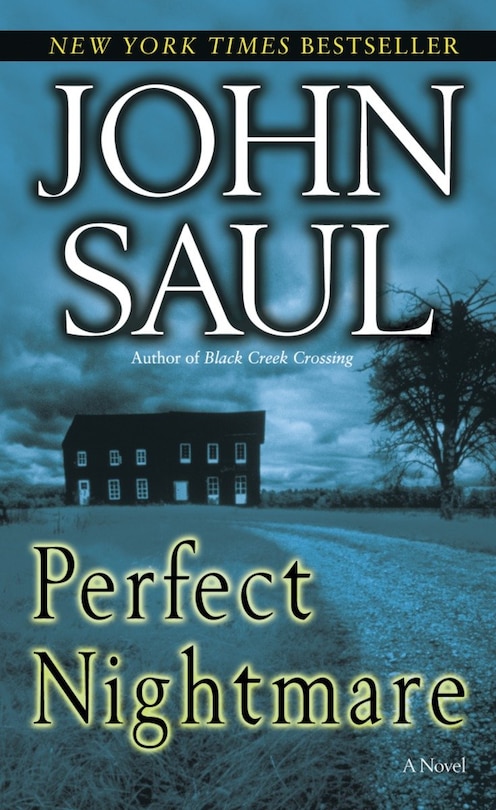 Couverture_Perfect Nightmare