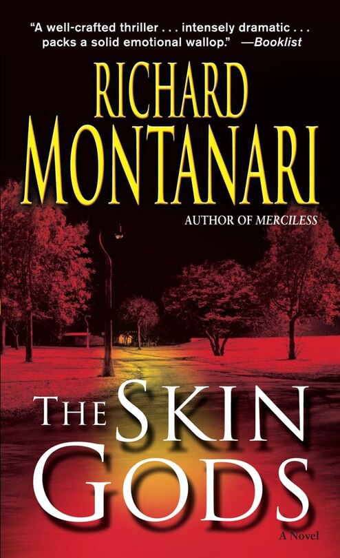 Couverture_The Skin Gods