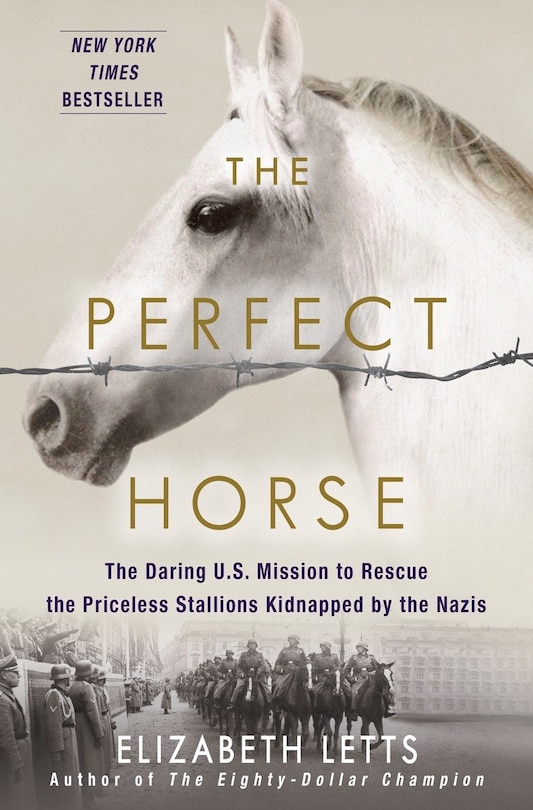 Front cover_The Perfect Horse