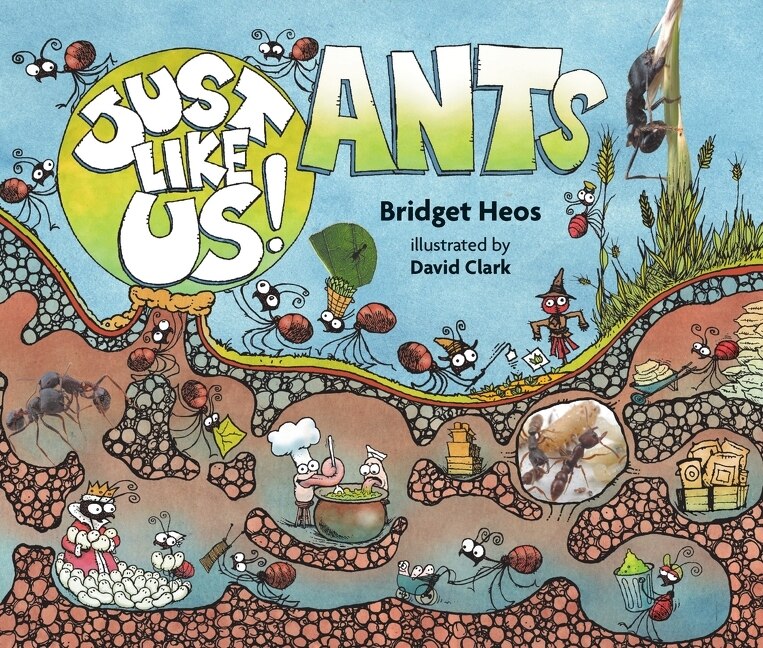 Front cover_Just Like Us! Ants