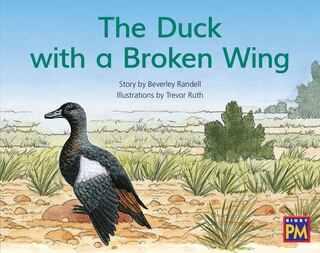 Couverture_The Duck with a Broken Wing
