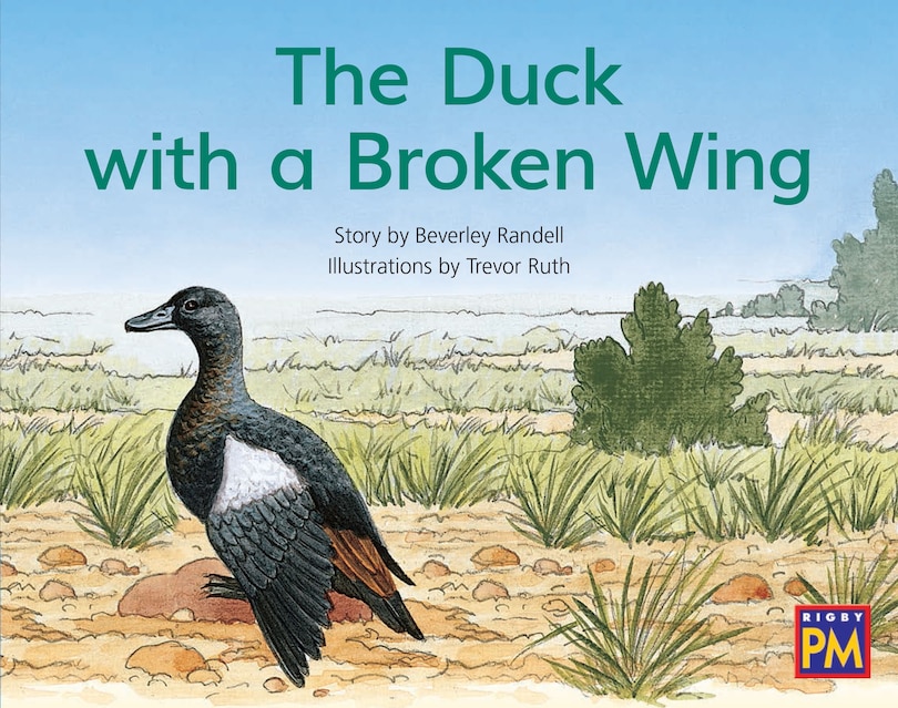 Couverture_The Duck with a Broken Wing