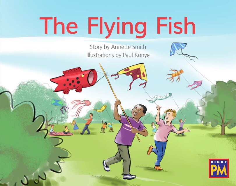 Front cover_The Flying Fish