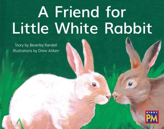 Front cover_Friend for Little White Rabbit,