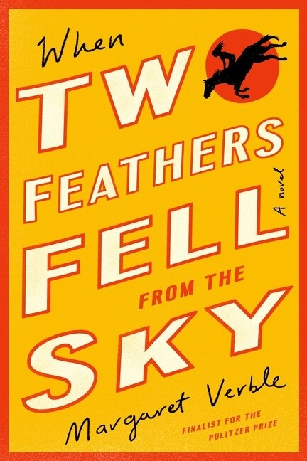 Front cover_When Two Feathers Fell From The Sky