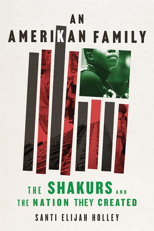 Couverture_Amerikan Family, An