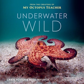 Front cover_Underwater Wild