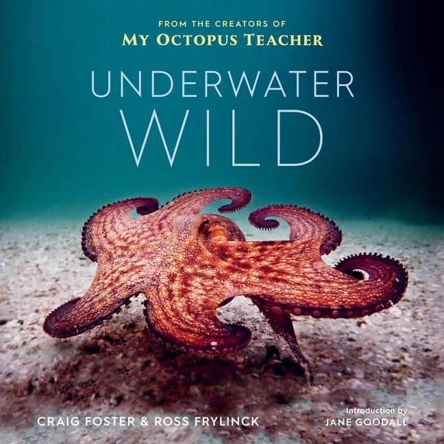 Front cover_Underwater Wild