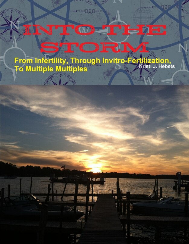 Front cover_INTO THE STORM From Infertility, Through Invitro-fertilization, To Multiple Multiples