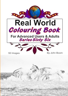Couverture_Real World Colouring Books Series 66
