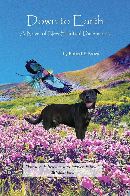 Couverture_Down to Earth