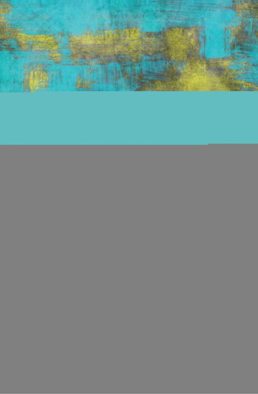 Front cover_Emerging Economies And The Global Financial System
