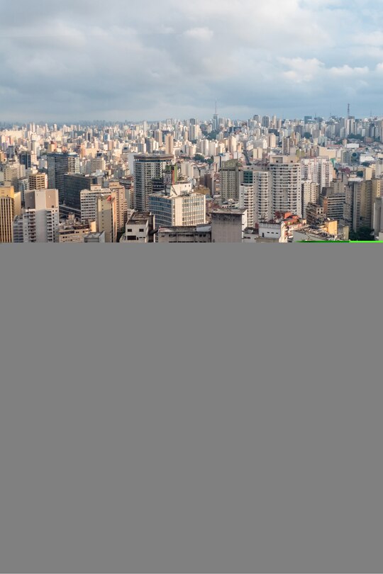 Couverture_The Brazilian Economy