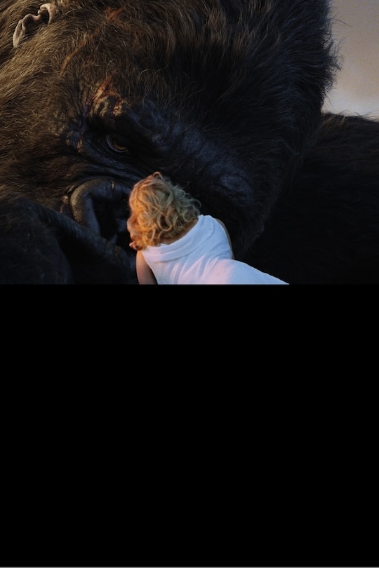 Front cover_Social Life In The Movies