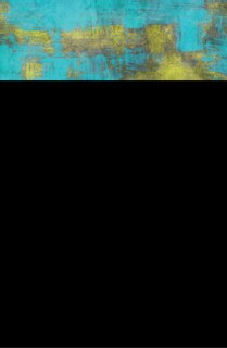 Front cover_Postcolonial And Postsocialist Dialogues