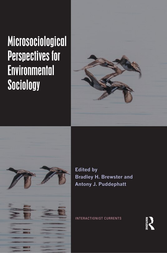 Couverture_Microsociological Perspectives For Environmental Sociology