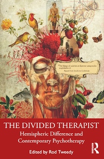 Front cover_The Divided Therapist
