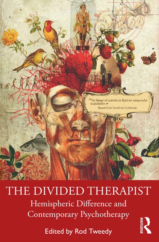 Front cover_The Divided Therapist