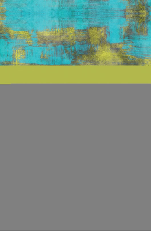 Couverture_Situated Knowing