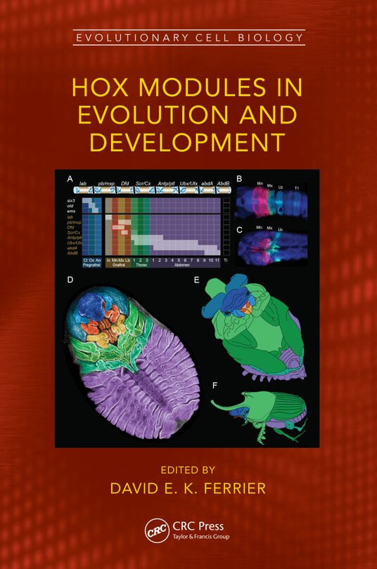 Front cover_Hox Modules in Evolution and Development
