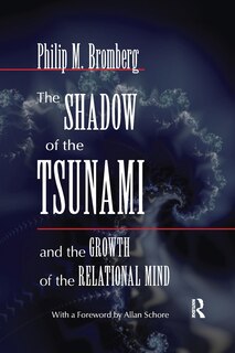 Front cover_The Shadow of the Tsunami