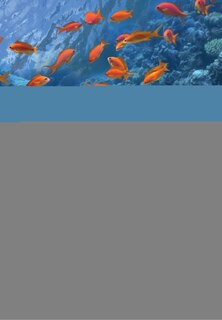 Front cover_Fish Nutrition And Its Relevance To Human Health