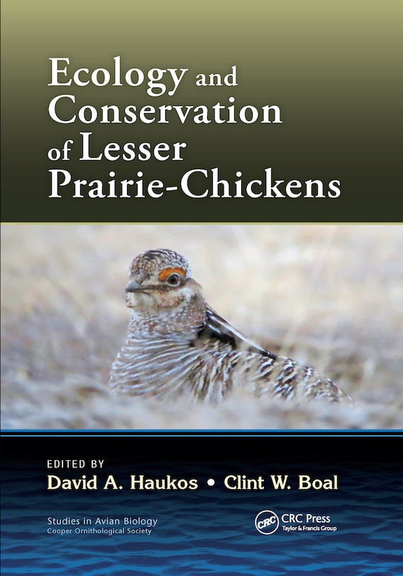 Front cover_Ecology And Conservation Of Lesser Prairie-chickens