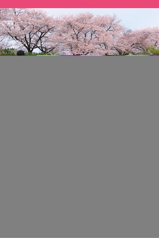 Front cover_Covid-19