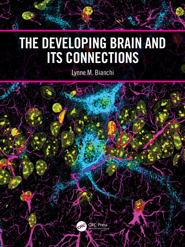 The Developing Brain And Its Connections Book By Lynne M Bianchi, ('tp ...
