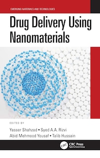 Couverture_Drug Delivery Using Nanomaterials