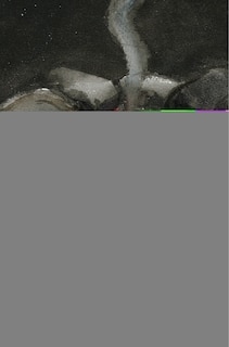 Front cover_Indigenous Religion(s)