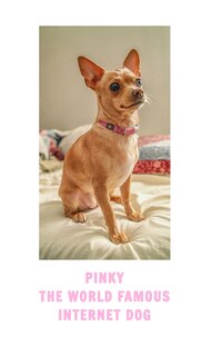 Front cover_Pinky The Famous Internet Dog