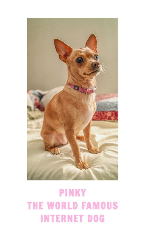 Front cover_Pinky The Famous Internet Dog