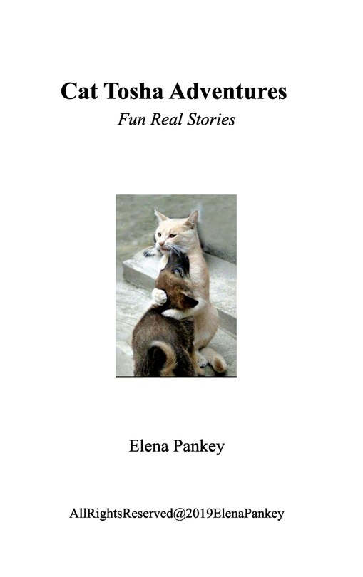 Front cover_Cat Tosha Adventure