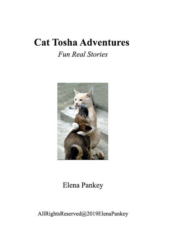 Front cover_Cat Tosha Adventure