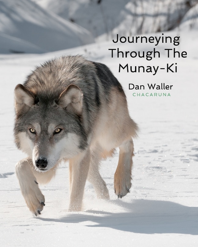 Front cover_Journeying Through The Munay-Ki