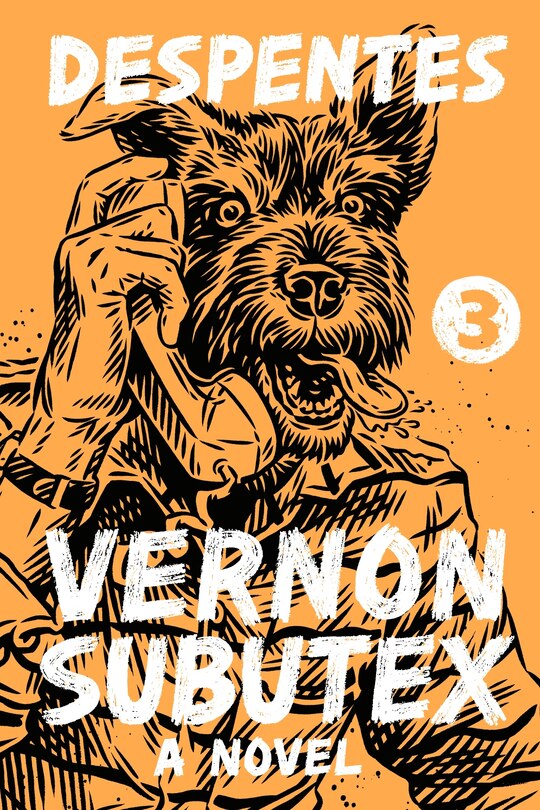 Couverture_Vernon Subutex 3