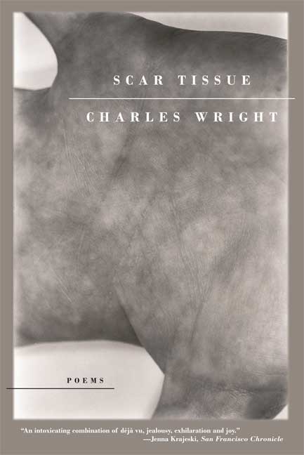 Front cover_Scar Tissue