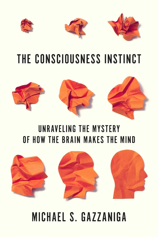 Front cover_The Consciousness Instinct