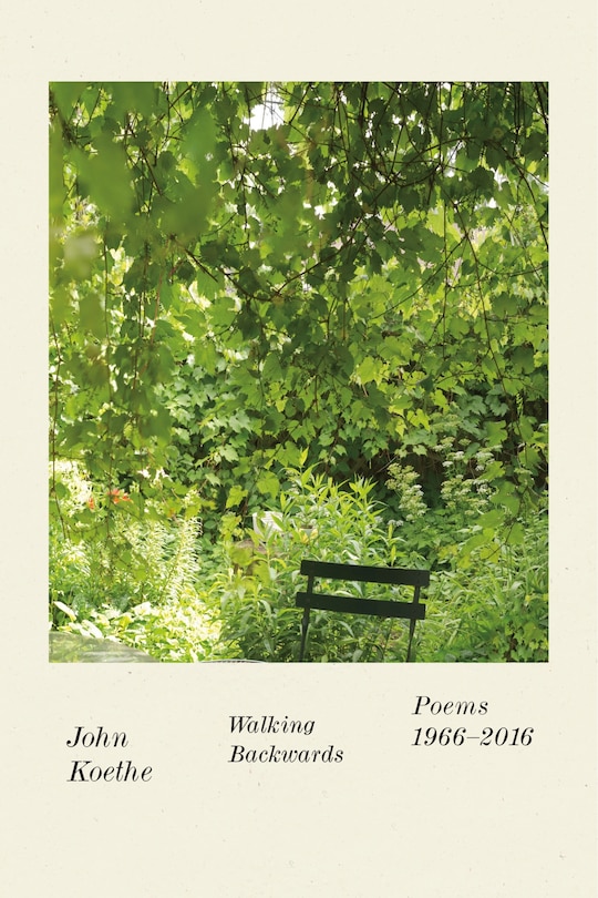 Couverture_Walking Backwards