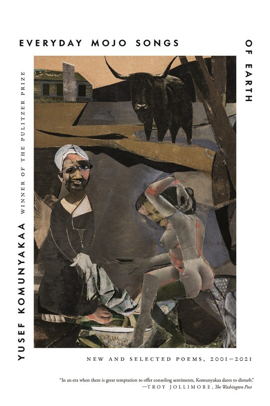 Couverture_Everyday Mojo Songs Of Earth