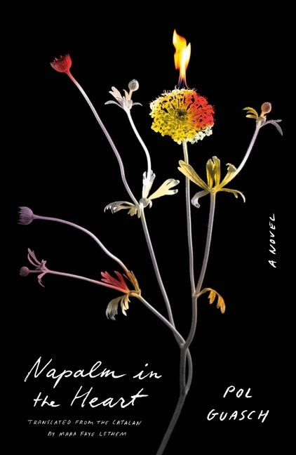 Couverture_Napalm in the Heart