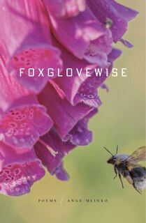 Front cover_Foxglovewise