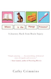 Front cover_Where Is the Mango Princess?